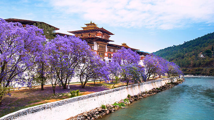 Punakha Dzong Bhutan