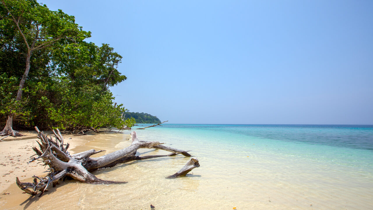 Havelock Island Tour
